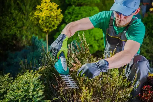 landscaping services McCook
